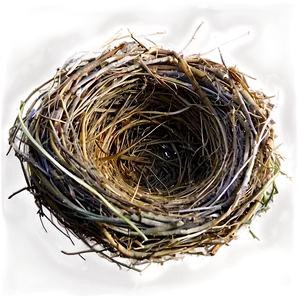 Nest On Ground Png Wjr PNG image