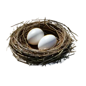 Nest Outline PNG Dmo PNG