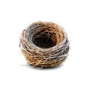 Nest Outline PNG Vcl