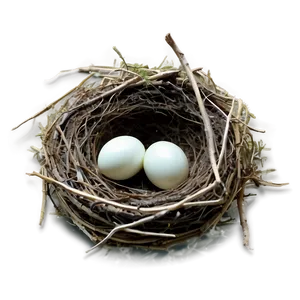 Nest Under Leaves Png 64 PNG image