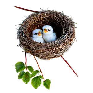 Nest With Baby Birds Png Oyg46 PNG image