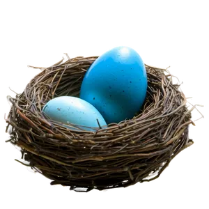 Nest With Blue Eggs PNG 05252024 PNG