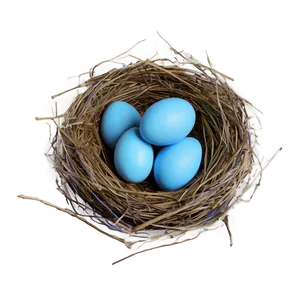 Nest With Blue Eggs PNG Twy34 PNG