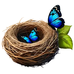 Nest With Butterfly Png 05252024 PNG image