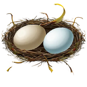 Nest With Eggs PNG Efk PNG