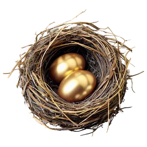 Nest With Golden Eggs PNG Bal10 PNG
