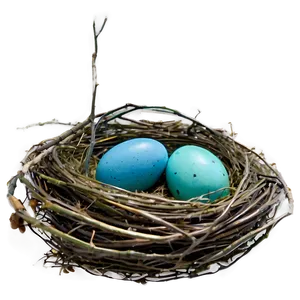 Nest With Robin Eggs PNG 90