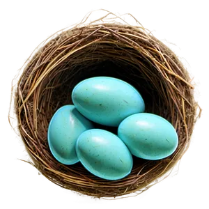 Nest With Robin Eggs PNG Svb79 PNG