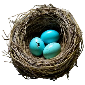 Nest With Robin Eggs PNG Wov PNG