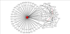 Network Analysis Graph PNG image