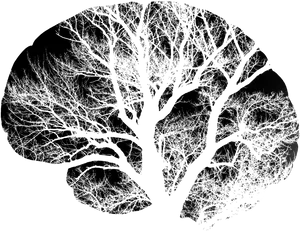 Neural Tree Brain Illustration PNG image