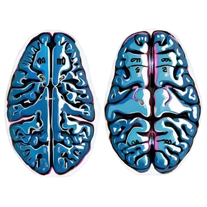 Neurological Brain Outline PNG 17