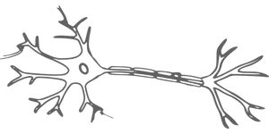 Neuron Silhouette Art PNG image