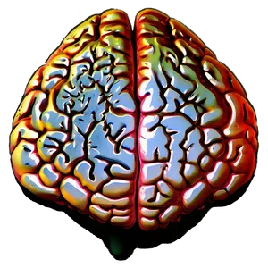 Neuroscience Brain Png 48 PNG image