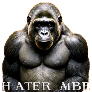 Never Forget Harambe PNG 14 PNG