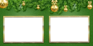 New Year Photo Frames Green Background