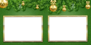 New Year Photo Frames Green Background PNG image