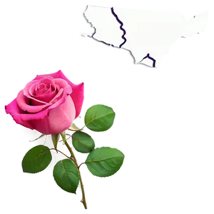 New York State Flower Rose Png 63 PNG image