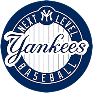 New York Yankees Next Level Logo PNG image