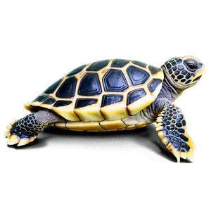 Newborn Baby Turtle PNG Eek