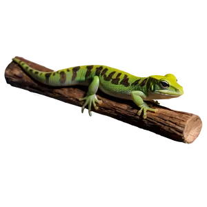 Newt On A Log Png 06242024 PNG image