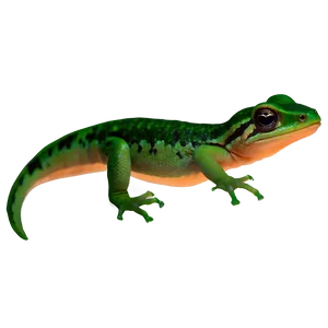 Newt On Leaf Png 06242024 PNG image