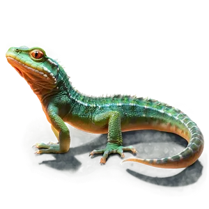 Newt Outline Png Pip PNG image