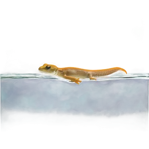 Newt Swimming Png 06242024 PNG image