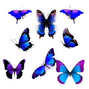 Night Butterflies PNG 38 PNG