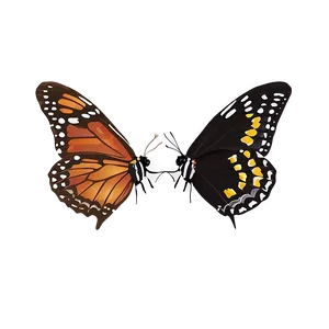 Night Butterflies PNG Mmh79 PNG