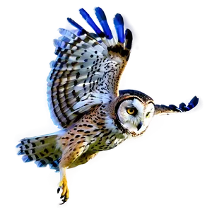 Night Owl Flying PNG 49