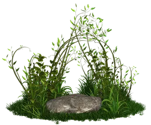 Nighttime Garden Scene PNG