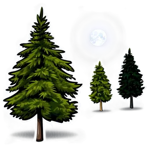 Nighttime Spruce Tree Scene PNG 97 PNG