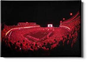 Nighttime Stadium Lights Wall Art PNG