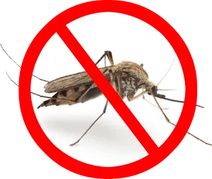 No Mosquito Sign PNG image