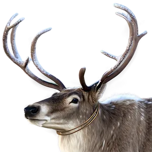 Nordic Reindeer Png 05212024 PNG image