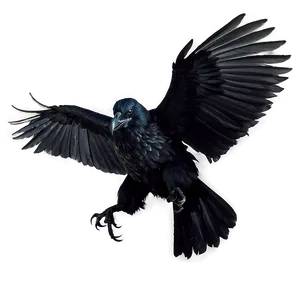 Norse Mythology Ravens PNG 06122024