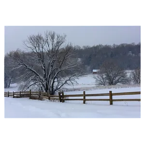 North Dakota Snowfall Scene PNG 06252024