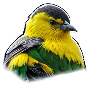 North Dakota State Bird Png 06252024 PNG image