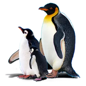 North Pole Penguin Colony PNG 06122024