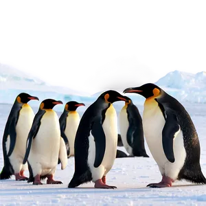 North Pole Penguin Colony Png 06122024 PNG image