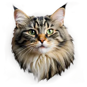 Norwegian Forest Cat PNG Sbj72 PNG