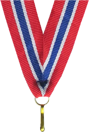 Norwegian Ribbon Medal Attachment PNG image