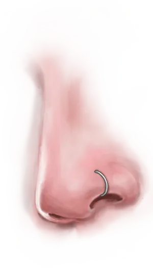 Nosewith Hoop Piercing PNG image