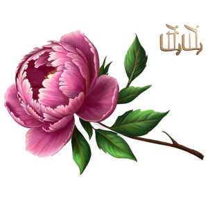 Nostalgic Peony Art PNG 06252024 PNG