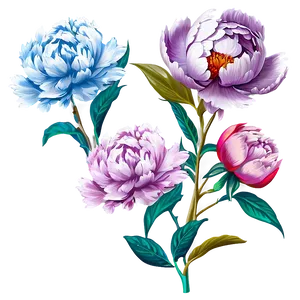 Nostalgic Peony Art PNG 41 PNG