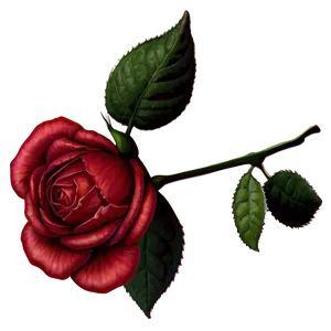 Nostalgic Rose Keepsake PNG 06292024 PNG