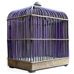 Novelty Theme Cage Png Vii PNG image