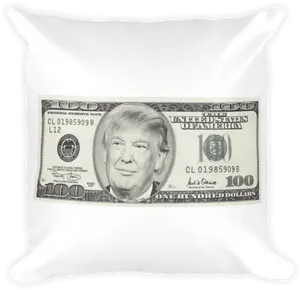Novelty100 Dollar Bill Cushion Design PNG image