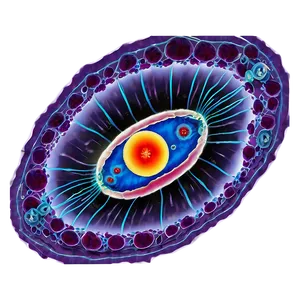 Nucleus Cell Biology PNG 06212024